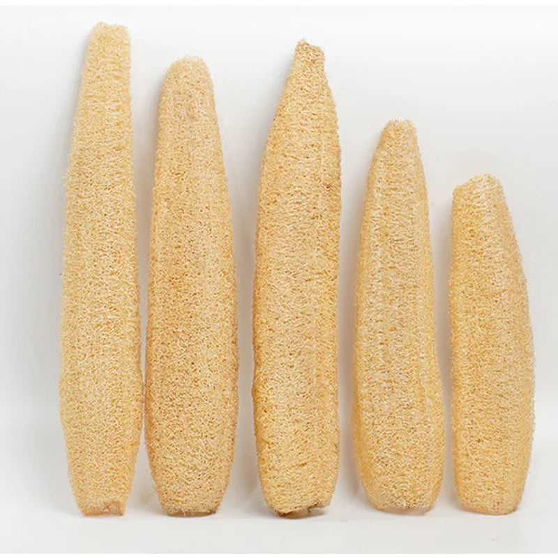 Natural Loofah Body Scrub – Whole Loofah Exfoliating Bath Sponge