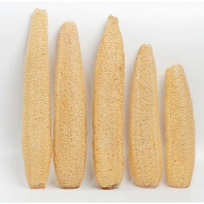 Natural Loofah Body Scrub – Whole Loofah Exfoliating Bath Sponge